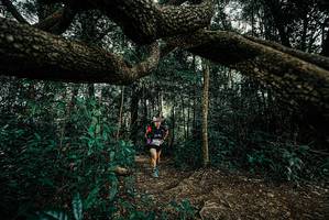 BIB: 
                            <button type="button" onclick="openModal(25705337)" class="btn btn-primary btn-sm float-right btn-popup" data-toggle="modal" data-target=".modal-high-quality">
                        <i class="fas fa-shopping-cart"></i> Add to Cart
                    </button>
                                            <button type="button" onclick="isThisMe(25705337, true)" class="btn btn-success btn-sm float-right btn-popup btn-isme hidden" data-toggle="tooltip" data-placement="bottom" title="นี่คือรูปของคุณใช่ไหม คลิกที่นี่เพื่อเอาเข้าอัลบั้ม">
                        <i class="fas fa-plus"></i> Add to album
                    </button>
                    <button type="button" onclick="isThisMe(25705337, false)" class="btn btn-warning btn-sm float-right btn-popup btn-isnotme hidden">
                        <i class="fas fa-ban"></i> Remove from album
                    </button>